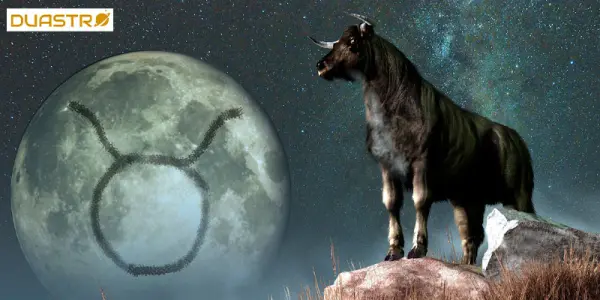 Zodiac Animal Poetry: Astrological Tributes